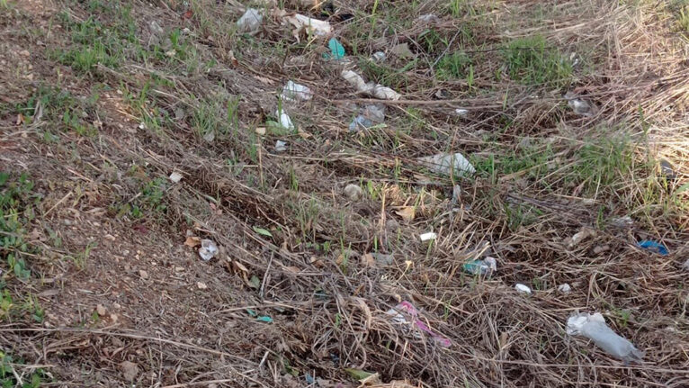 Dénia Cultura Sostenible denuncia la presencia de basura en cunetas de