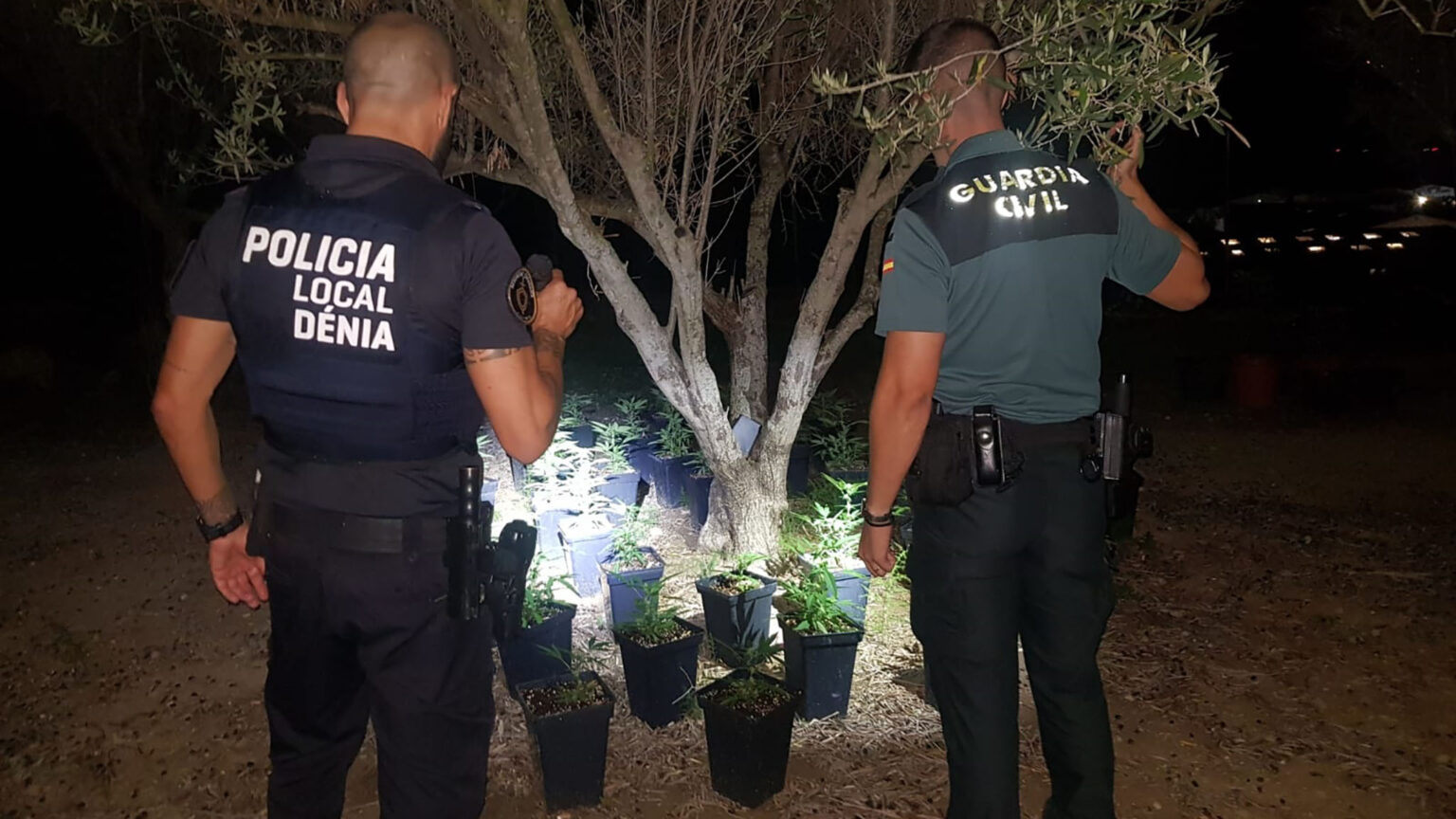 Un Joven Roba Una Moto En D Nia Y Le Descubren Una Plantaci N De