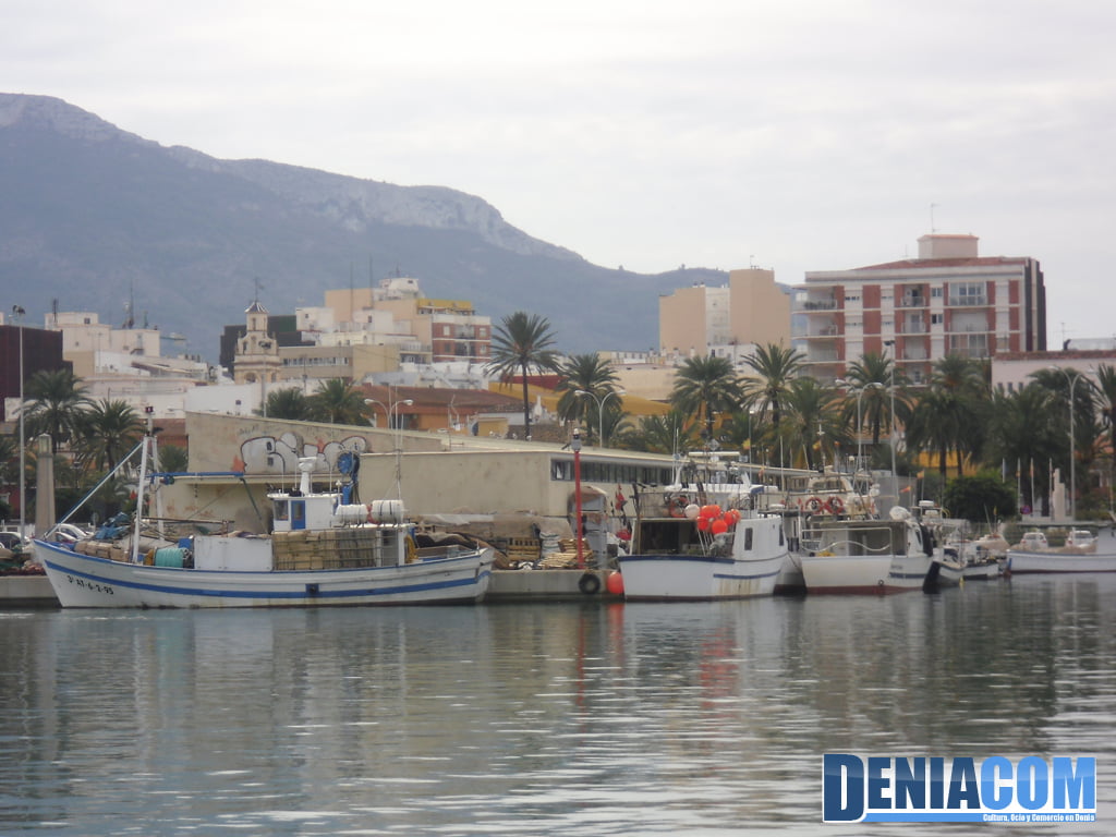 Puerto de Dénia – La Lonja