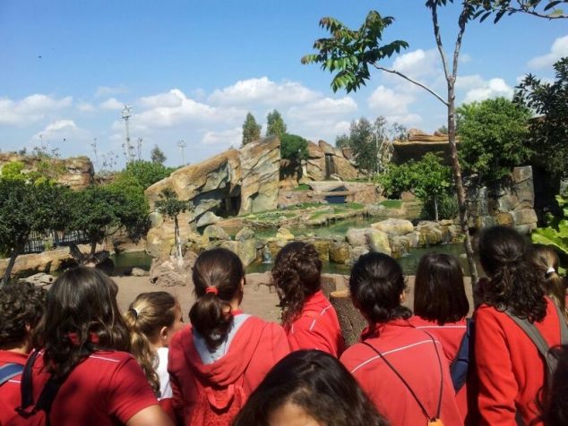 Excursión de escolares de Dénia al Bioparc de Valencia 03