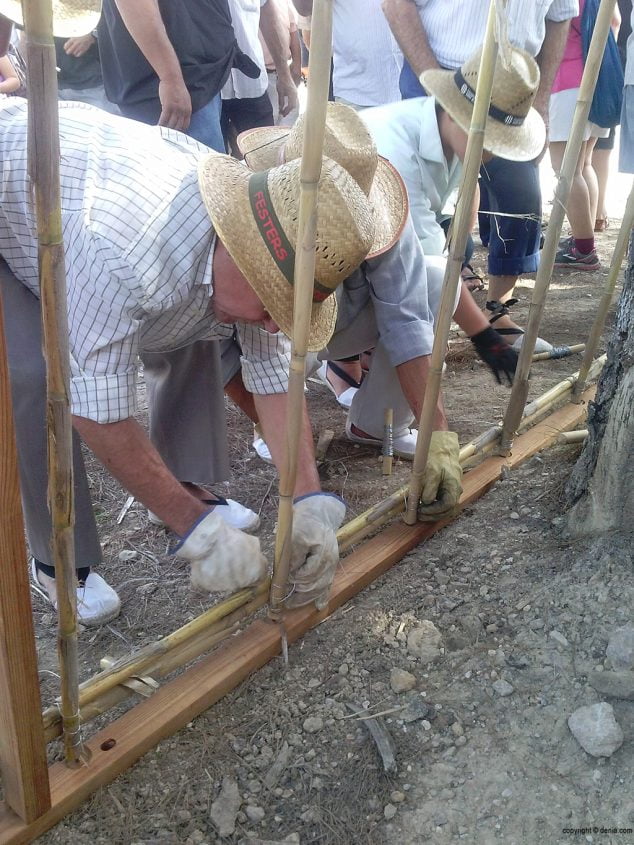 Escaldà de la Pansa 2014 hombre haciendo canyissos