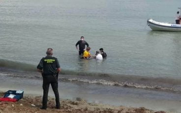 Delfín muerto en Dénia