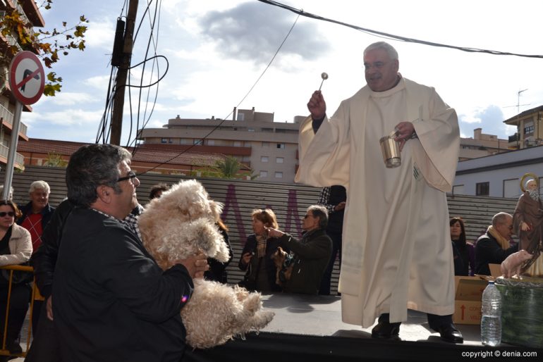 Bendición de animales Dénia