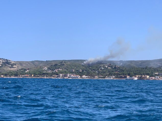 Imagen: Se declara un incendio en la zona de Les Rotes de Dénia