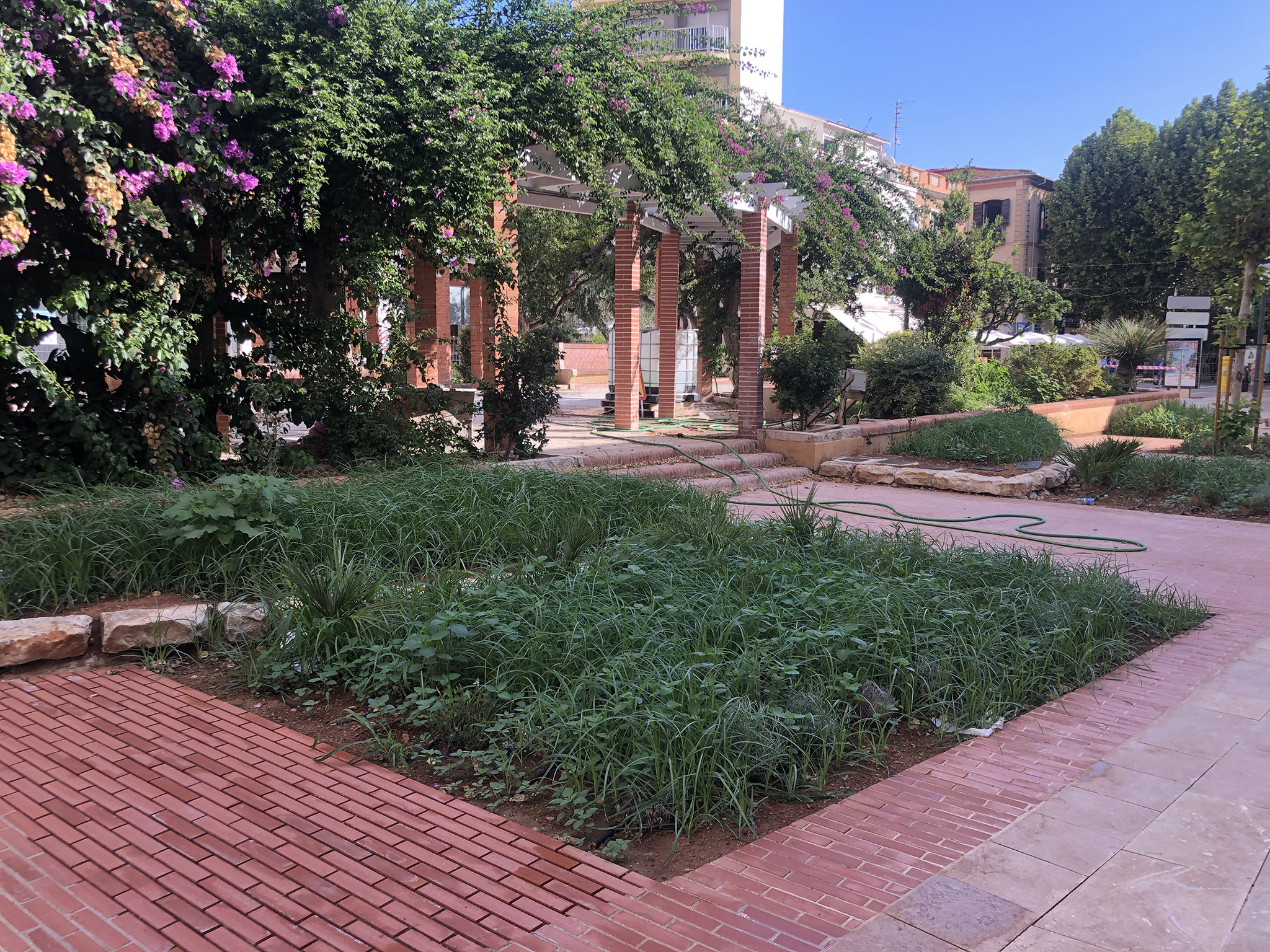 Jardinera llena de hierbajos que cubren las flores plantadas