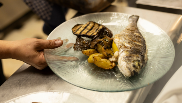 la calidad del mar a tu mesa pescados frescos en su punto perfecto