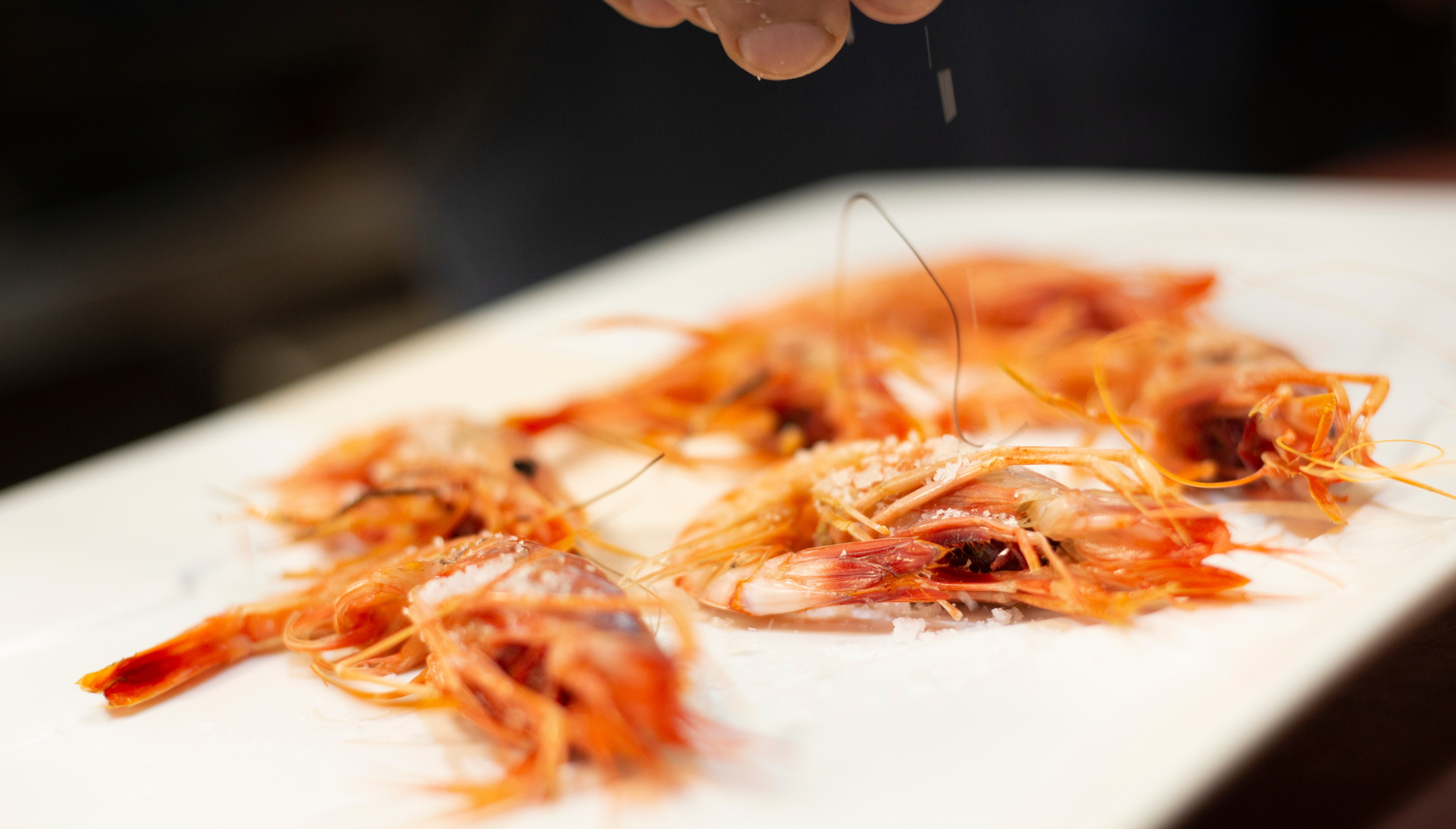 Gamba roja de Dénia: un tesoro a la brasa