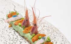 tapa presentada en madrid fusion por el chef estrella michelin jose manuel lopez