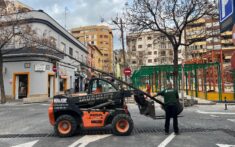 trabajadores descargando el arbolado de la nueva plaza de denia