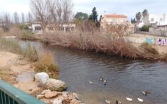 el molinell en su paso por denia durante la emergencia hidrologica