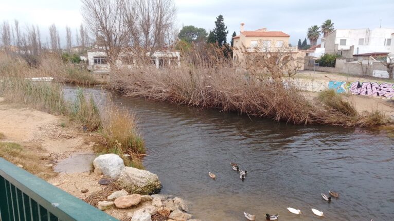 Nivel del agua en el Molinell